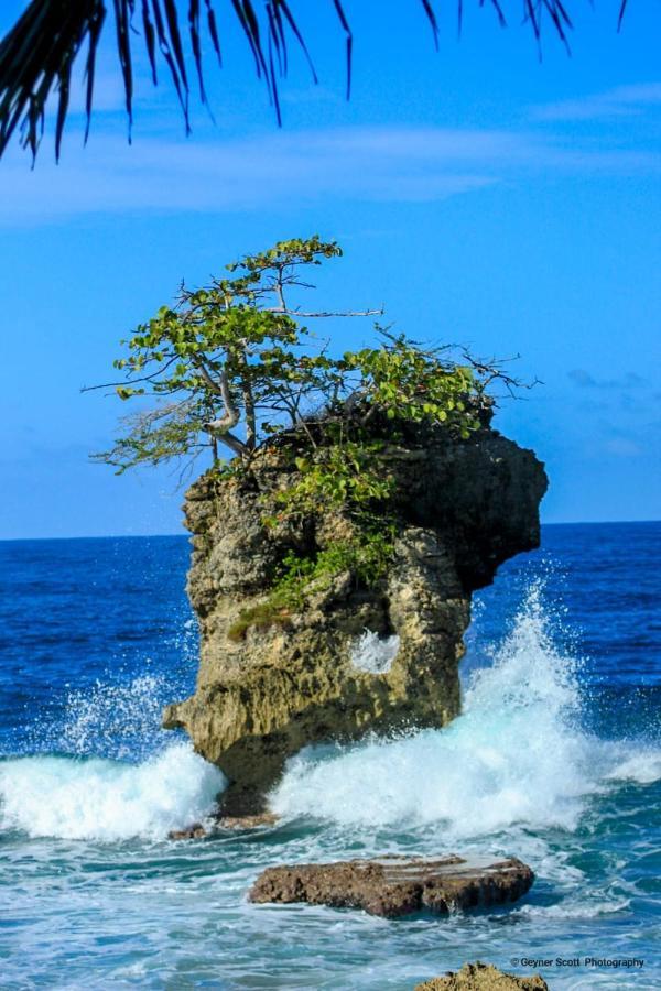 Cabinas Mitchaelle'S Puerto Viejo de Talamanca Eksteriør bilde